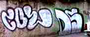 cose ds